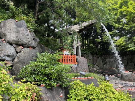 勝尾寺 勝尾寺 勝尾寺,だるま,寺院の写真素材