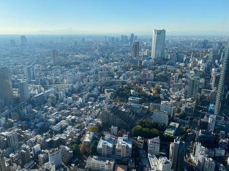 東京の街並み 東京の街並み 東京,都会,都心の写真素材