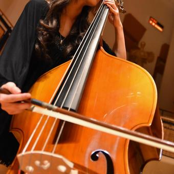 Photo, contrabass, double bass, player, 