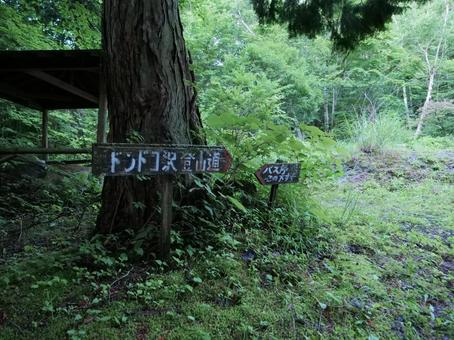 鳳凰三山のドンドコ沢登山道入口 鳳凰三山のドンドコ沢登山道入口 鳳凰三山,ドンドコ沢,地蔵ヶ岳の写真素材