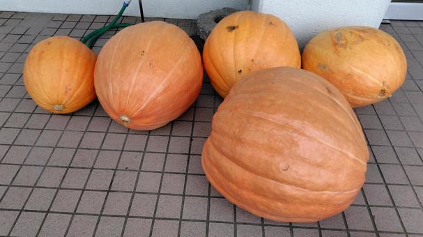 ハロウィンのかぼちゃ ハロウィンのかぼちゃ ハロウィン,かぼちゃ,イベントの写真素材