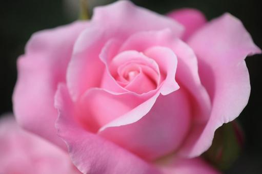 華7 華7の写真
