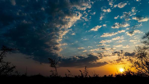 夕陽 夕陽の写真