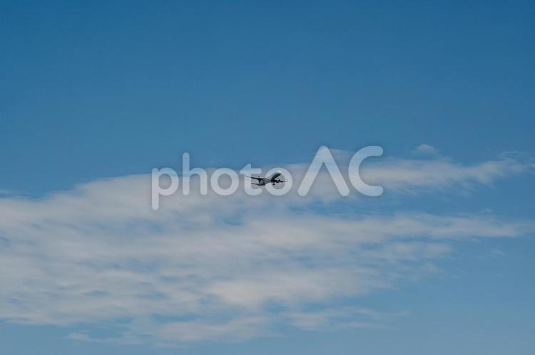 海の森水上競技場周辺の景色 海の森水上競技場,飛行機,空の写真素材