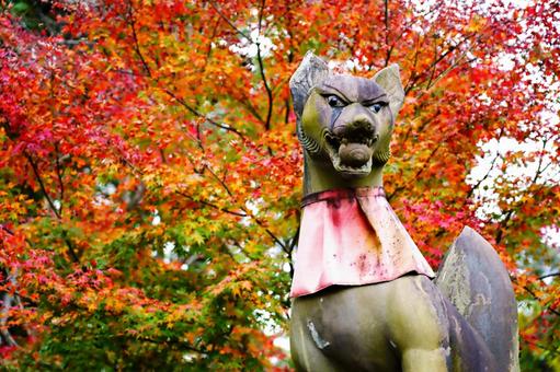紅葉を背景にした狛犬の像 紅葉を背景にした狛犬の像の写真