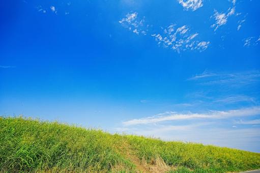 真夏の江戸川土手の青空 真夏の江戸川土手の青空の写真