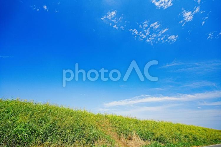 真夏の江戸川土手の青空 真夏,江戸川土手,青空の写真素材