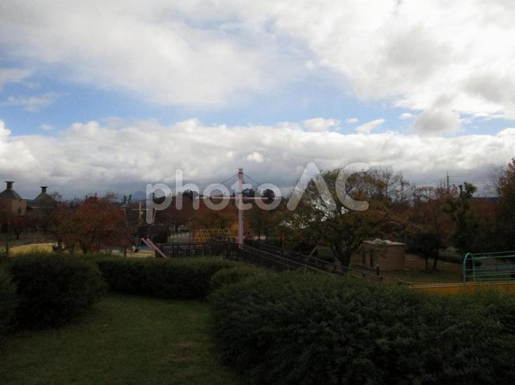 秋の公園の紅葉と秋空 紅葉,秋,秋空の写真素材