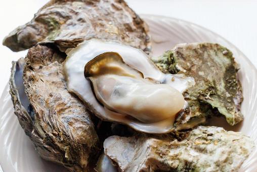 牡蠣 牡蠣,カキ,オイスターの写真素材