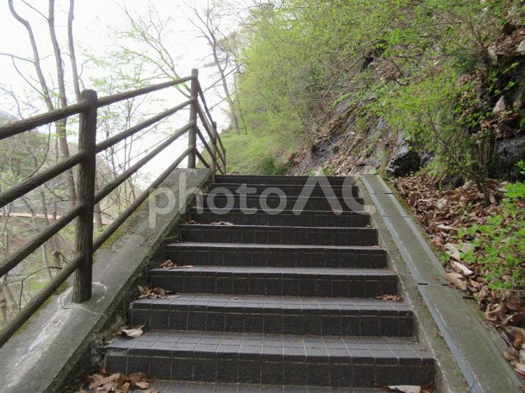 山の階段 階段,歩道,道の写真素材