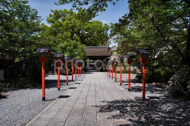 北野天満宮の山門、参道、灯篭。　　日本　 北野天満宮,山門,参道の写真素材