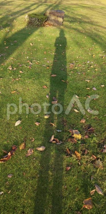 長く伸びた影と落ち葉 影,人影,落ち葉の写真素材