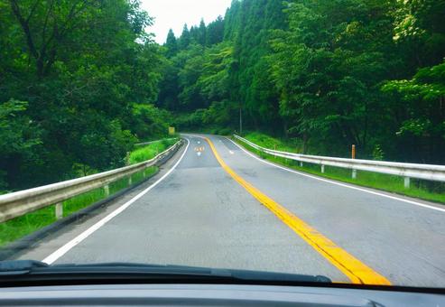 深緑の道をドライブ 深緑の道をドライブ 車窓,道路,木々の写真素材