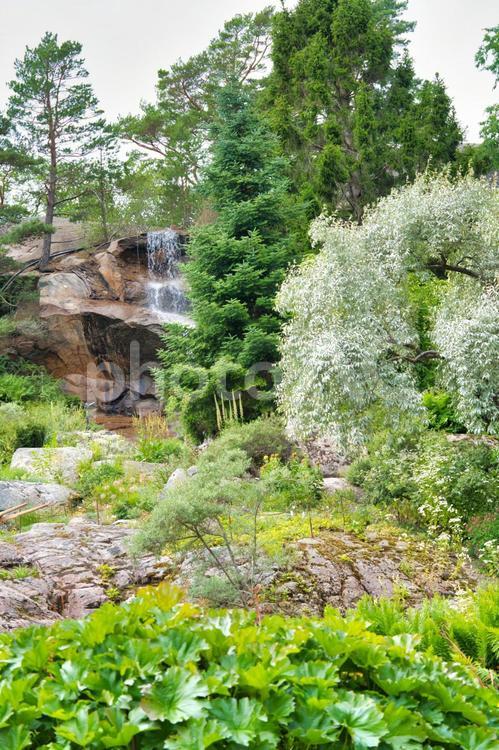 自然がたくさんの公園と滝のある風景 自然,公園,滝の写真素材