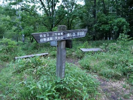 赤岳 真教寺尾根の登山道 赤岳 真教寺尾根の登山道の写真