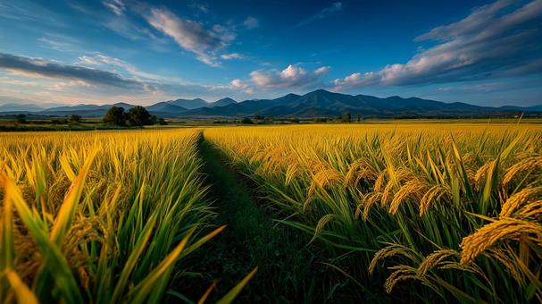 稲穂と山並みの田園風景の写真