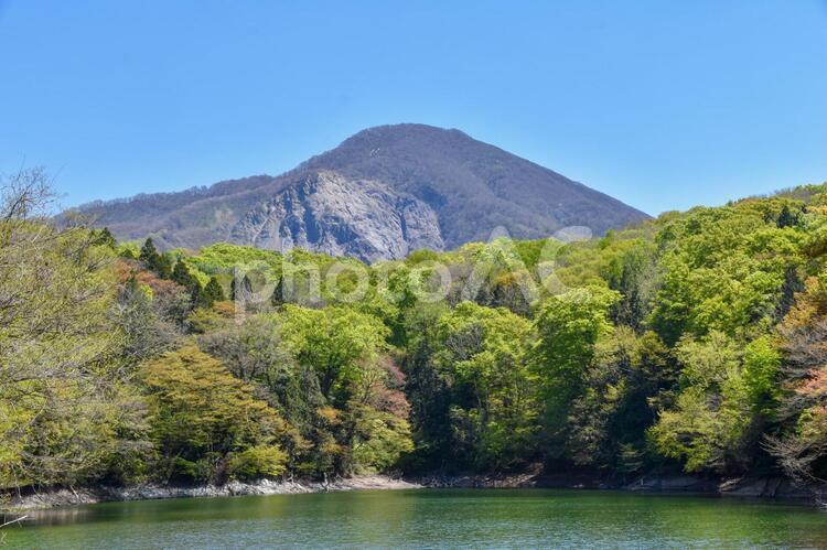 十二湖・鶏頭場の池 鶏頭場の池,十二湖,神秘な池の写真素材