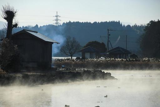 熊本県嘉島町 浮島池 熊本県嘉島町 浮島池 浮島池,浮島,池の写真素材