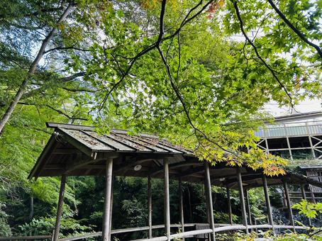 屋根のついた橋(五台橋) 屋根のついた橋(五台橋) 五台橋,木造,屋根の写真素材