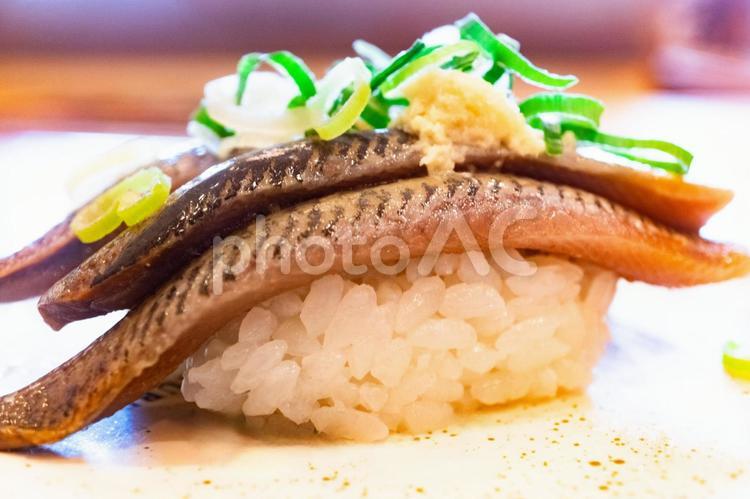 イワシのにぎり寿司 イワシ,寿司,にぎり寿司の写真素材
