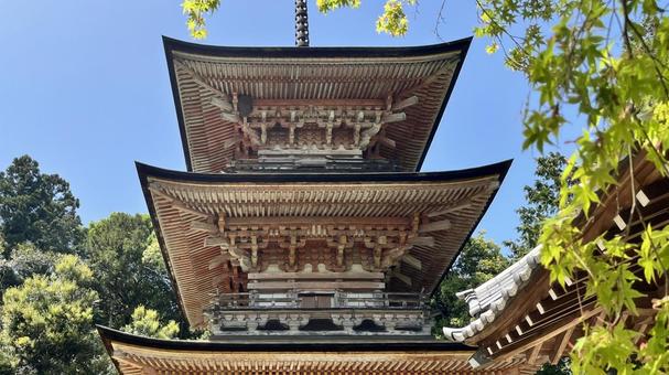 坂東33観音 11番 安楽寺 三重塔 坂東33観音 11番 安楽寺 三重塔 安楽寺,岩殿山,三重塔の写真素材