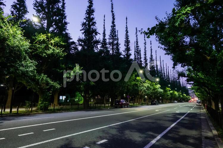 神宮外苑　夜景 神宮外苑,外苑前,外苑の写真素材