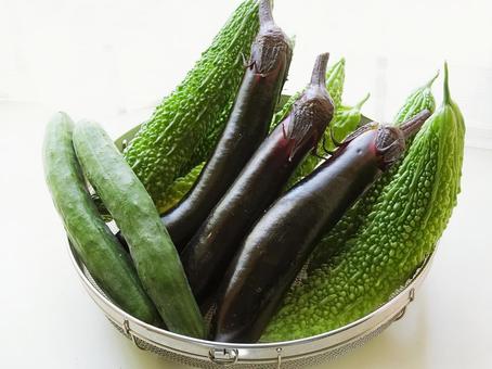 朝採りの夏野菜 朝採りの夏野菜の写真