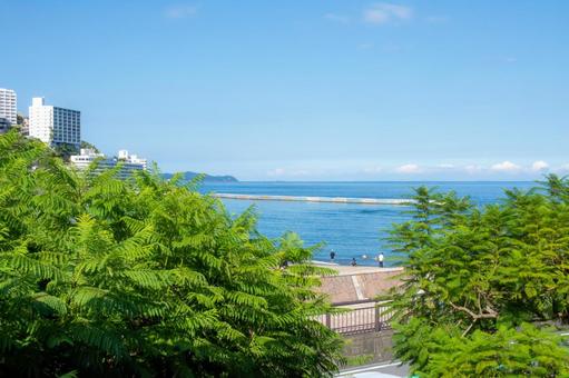 熱海サンビーチ 熱海サンビーチ 熱海サンビーチ,熱海,夏素材の写真素材