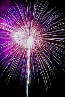 花火 花火 はなび,夏,なつの写真素材