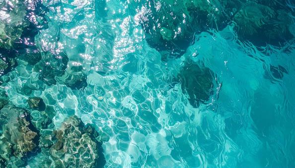 俯瞰でみる南国の海 俯瞰でみる南国の海の写真