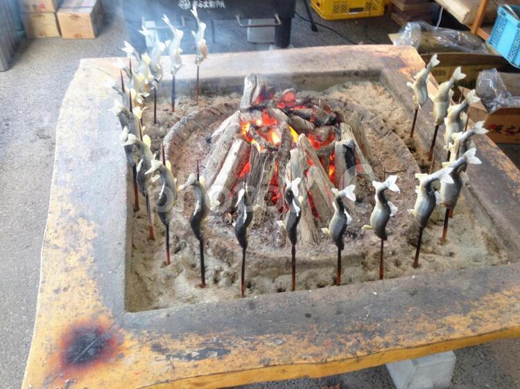 鮎の塩焼き 囲炉裏,炭火焼,鮎の写真素材