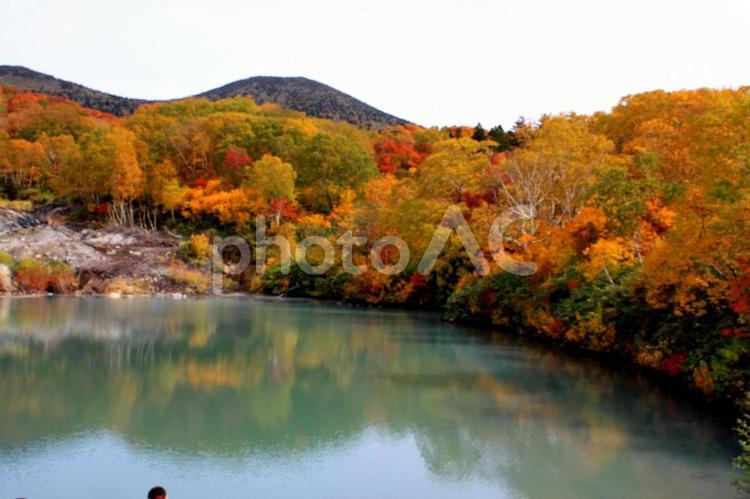紅葉_八甲田_地獄沼 紅葉,八甲田,地獄沼の写真素材