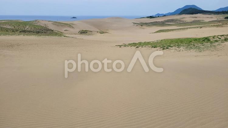 砂丘と風紋 砂丘,風紋,日本海の写真素材