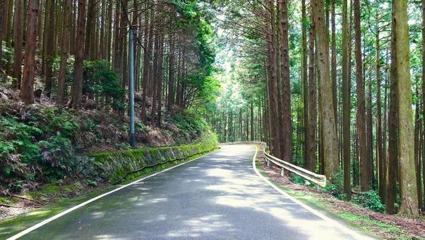 アスファルトで舗装された山道 A アスファルトで舗装された山道 Aの写真