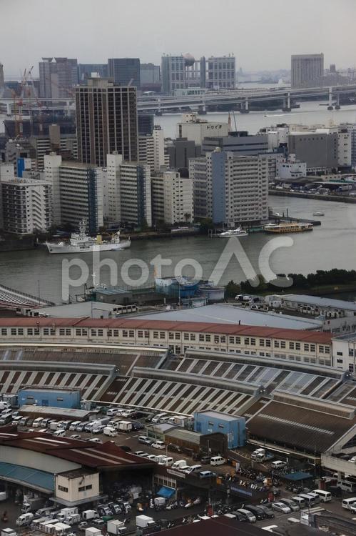 解体前の築地市場 築地市場,解体前,築地の写真素材