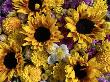 花手水 花手水,ひまわり,手水舎の写真素材