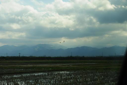 田んぼの写真