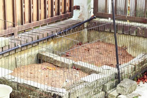 庭の小さな家庭菜園の土と柵 庭の小さな家庭菜園の土と柵 家庭菜園,畑,庭の写真素材
