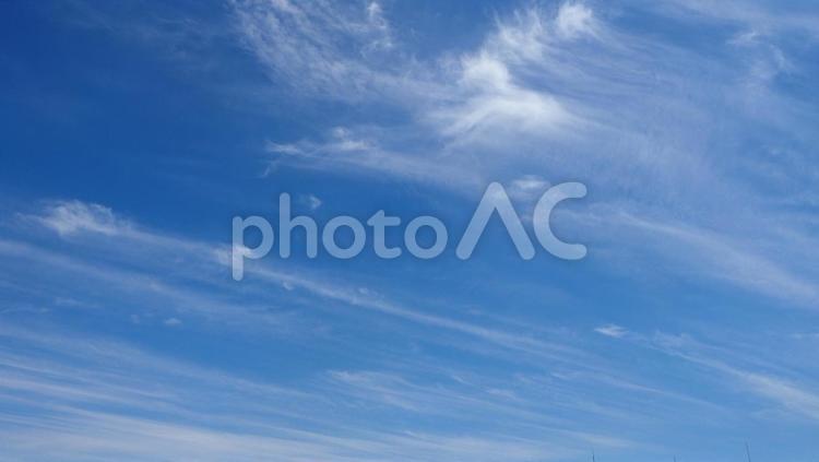 東京の初夏の空・江戸川区平井の上空 青空,晴れ,天気の写真素材