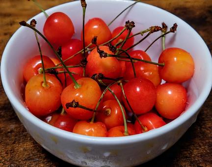 Cherries, JPG Cherries, JPG