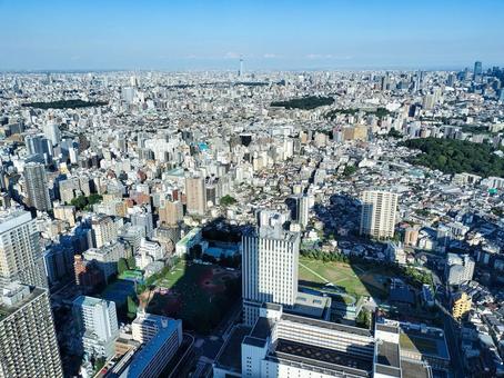 サンシャイン展望台よりスカイツリーを遠望 サンシャイン展望台よりスカイツリーを遠望の写真