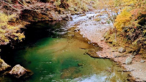 紅葉とグリーン渓谷 もみじ,オータム,紅葉の写真素材