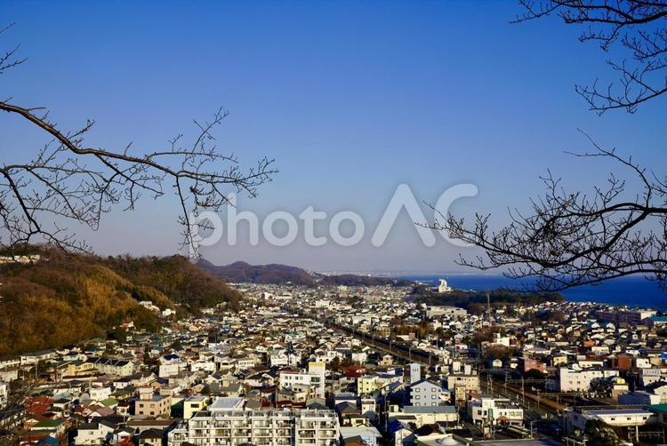 枝と青空と街並み 青空,枝,都市の写真素材