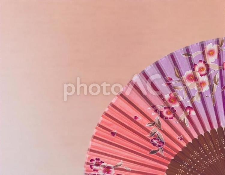 和服イメージ　桃色2 扇子,せんす,和の写真素材