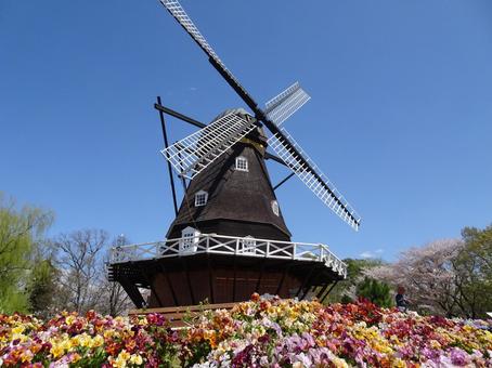 四月のアンデルセン公園-81 四月のアンデルセン公園-81の写真