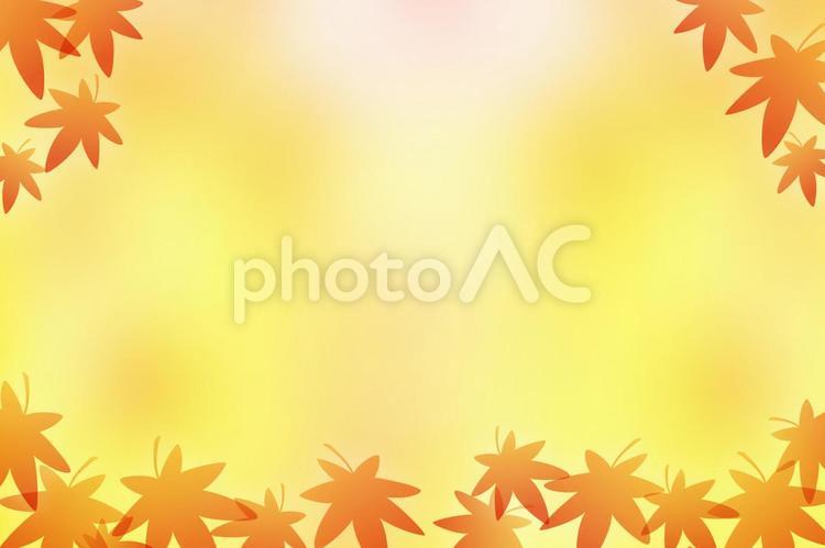 秋のフレーム（もみじ） 秋,紅葉,もみじの写真素材