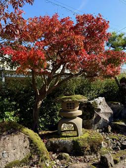 秋の石灯籠　紅葉　庭園 夏祭り,案内,道案内の写真素材