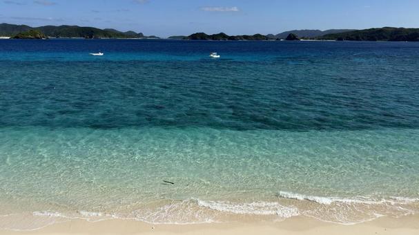 沖縄　慶良間諸島　阿嘉島 沖縄,慶良間諸島,阿嘉島の写真素材