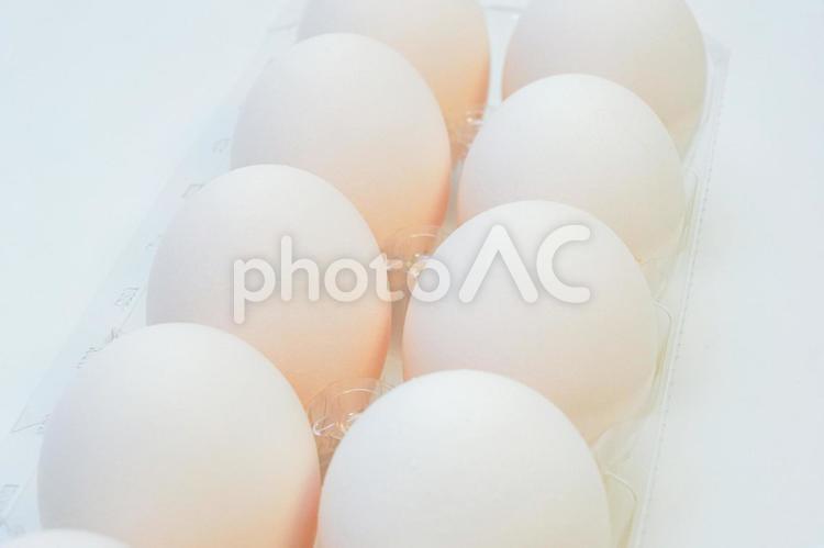 卵、たまご、egg たまご,卵,玉子の写真素材