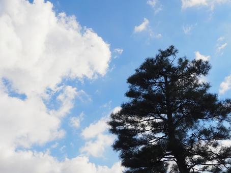 空 空の写真